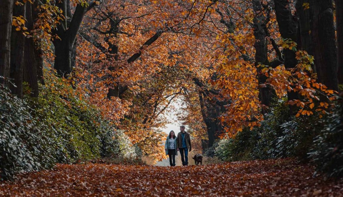 Hikers in the autumn NP Sallandse Heuvelrug Soms Ook Heimwee Hikers in the autumn NP Sallandse Heuvelrug Soms Ook Heimwee