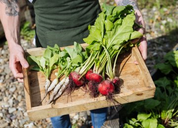 Niels van Zijl works primarily with local produce and fresh vegetables