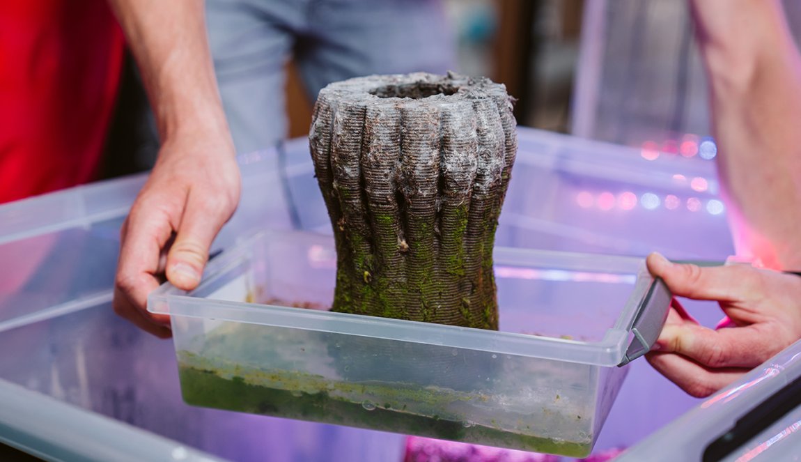 Urban Reef testing in process