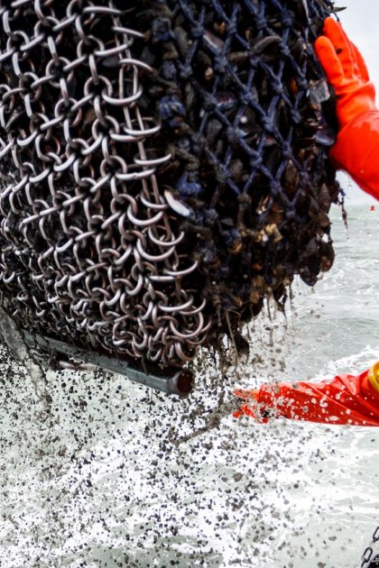 Mussel farmers Zeeland