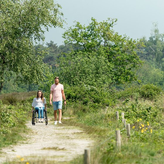 Couple enjoys Overasseltsche fen, Gelderland. Lady sits in wheelchair.