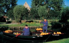 Edam