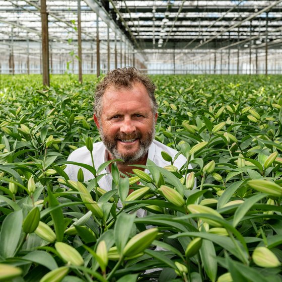 Exporteur Hans Kleijwegt in a greenhouse