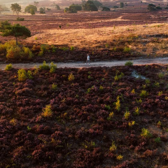 Viewpoint Archemerberg National Park Sallandse Heuvelrug & Twents Reggedal