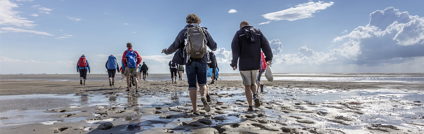 Group of mudflat walkers on the tidal flats