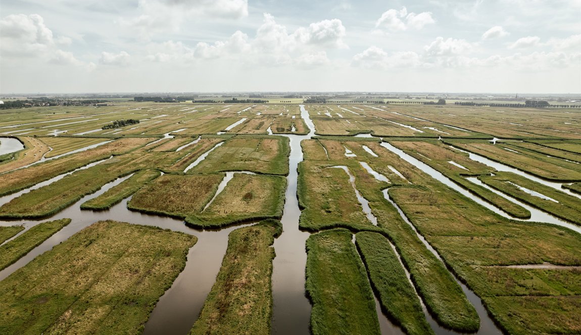 Polder landscape De Beemster Polder landscape De Beemster