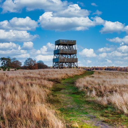 Publicly accessible lookout tower in Het Aekingerzand part of the Nationaal Park Drents-Friese Wold