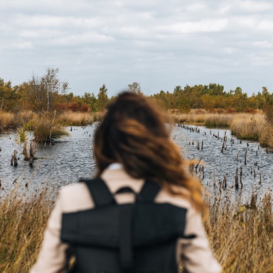 Nature reserve Bargerveen - Drenthe
