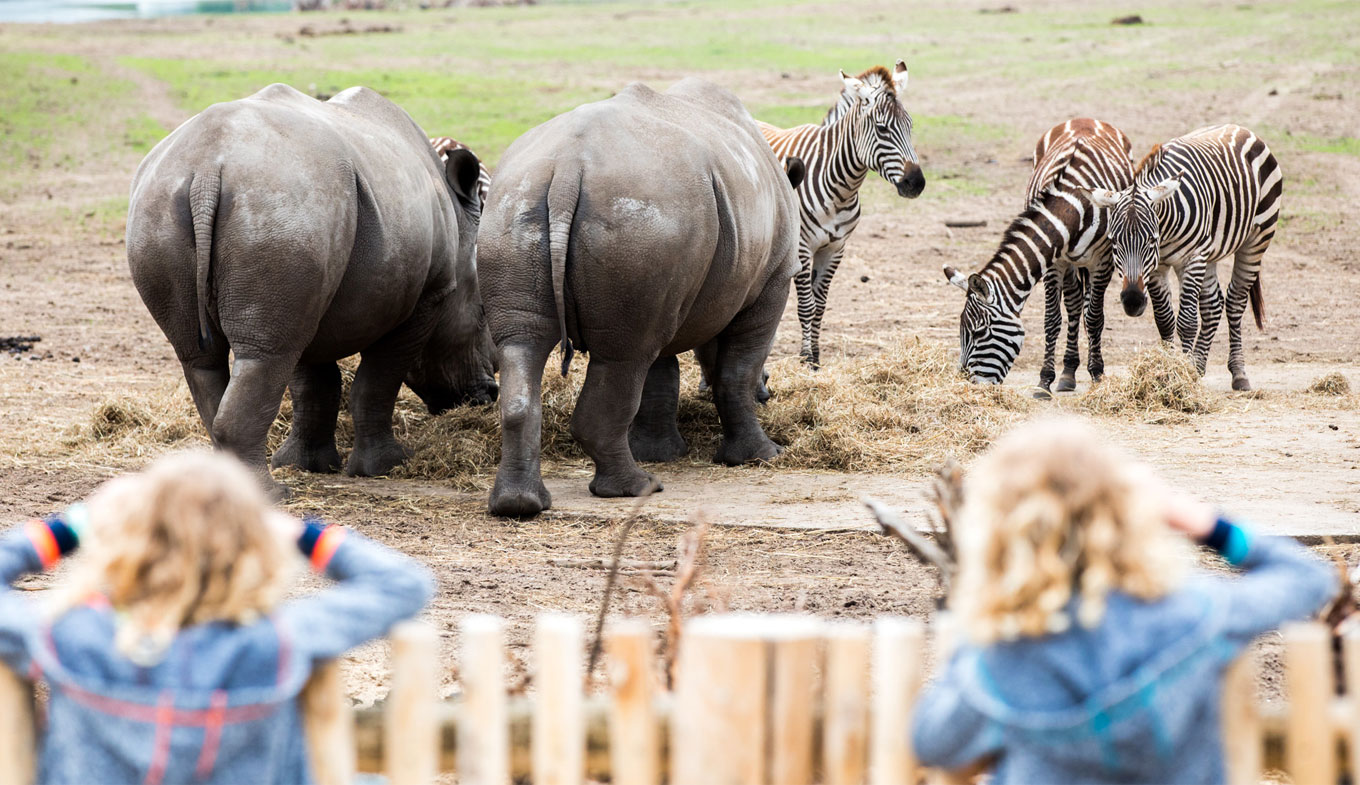 safari tierpark niederlande