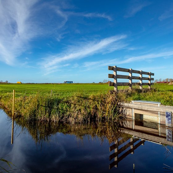 Friesland Veenweideprogramma