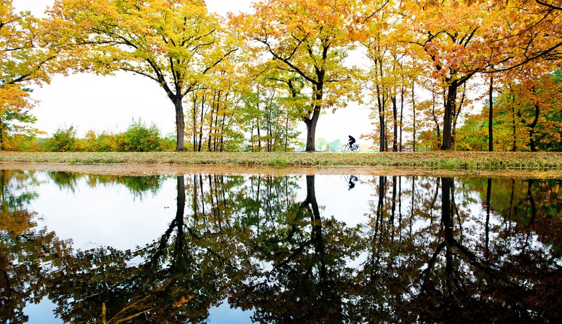 Cyclist through the forest in autumn colors with reflection in the water