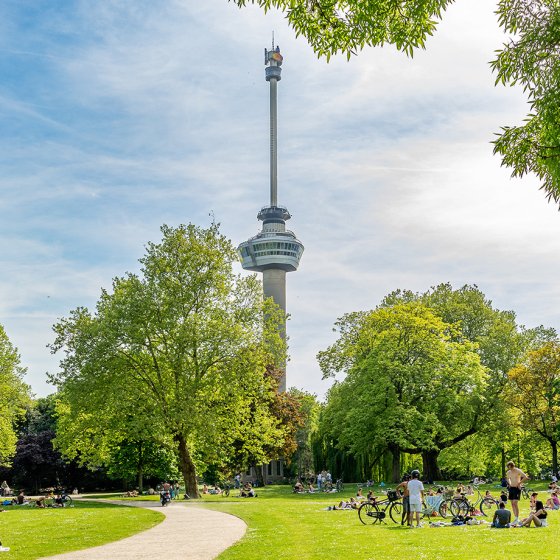 Chilling in The Park at the Euromast 