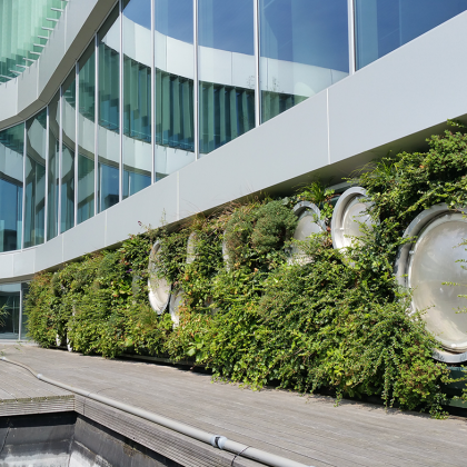 Facade with plants in Venlo