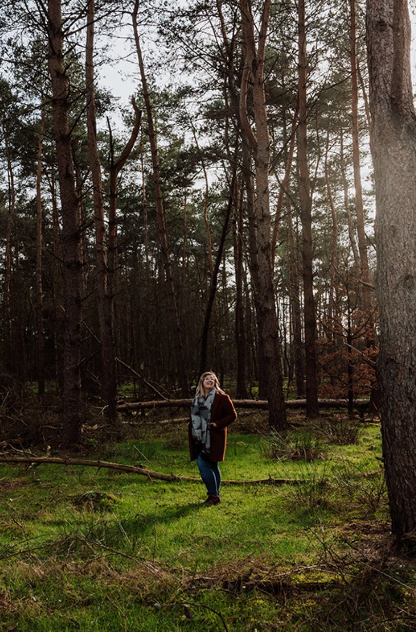 Van Gogh Drenthe in a forest