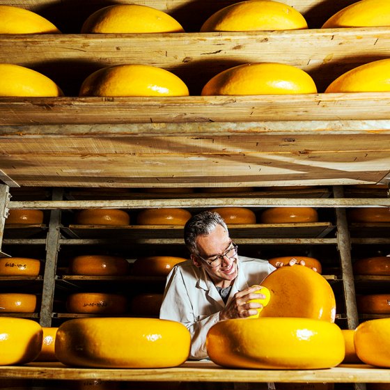 Gouda Cheese control on the shelf