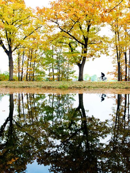 Cyclist through the forest in autumn colors with reflection in the water