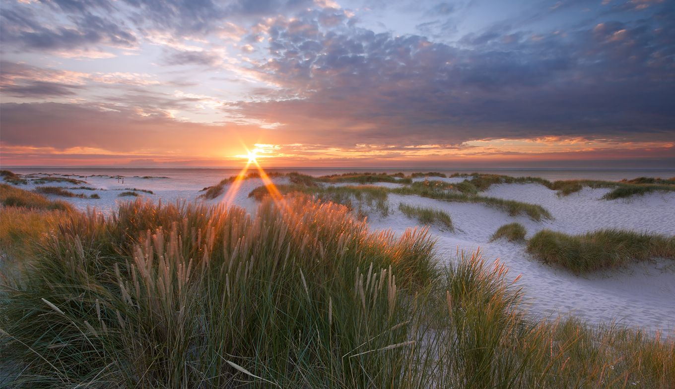 Beste The island of Terschelling: a vacation between North Sea beaches QR-35