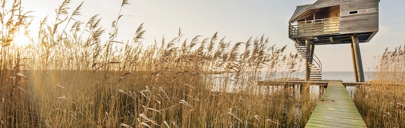 Vogelkijkhut Kiekkaaste, Nieuwe Statenzijl Vogelkijkhut Kiekkaaste, Nieuwe Statenzijl