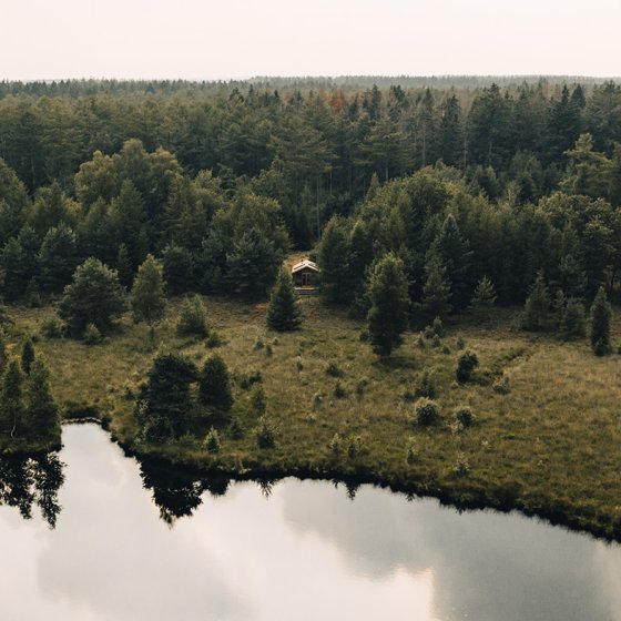 Bird view Drenthe forests and lake with vacation cabin