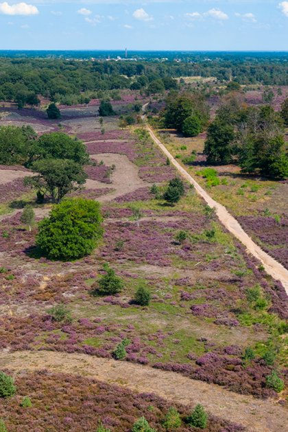 Drone view Sallandse Heuvelrug
