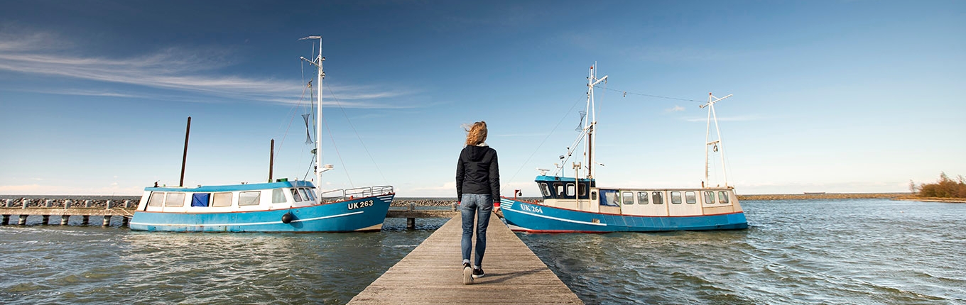 Oostvaardersdijk, Markermeer