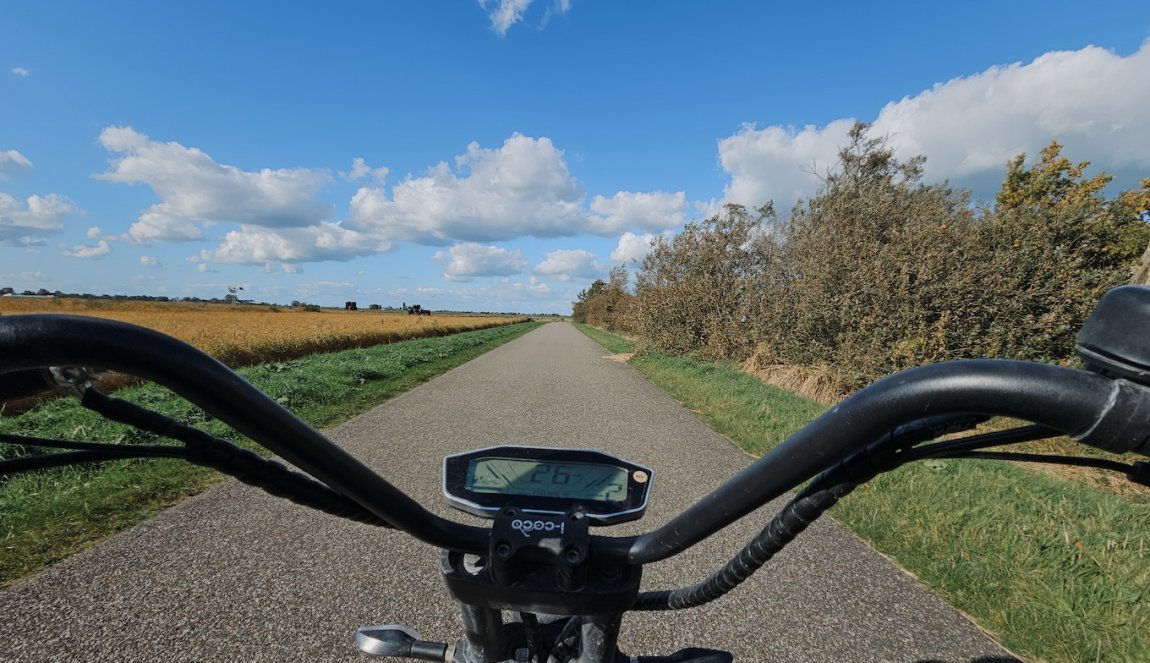 Niel Van Herck E-chopper - Alde Feanen Niel Van Herck E-chopper - Alde Feanen