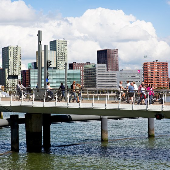View of the Rijnhaven bridge from Katendrecht