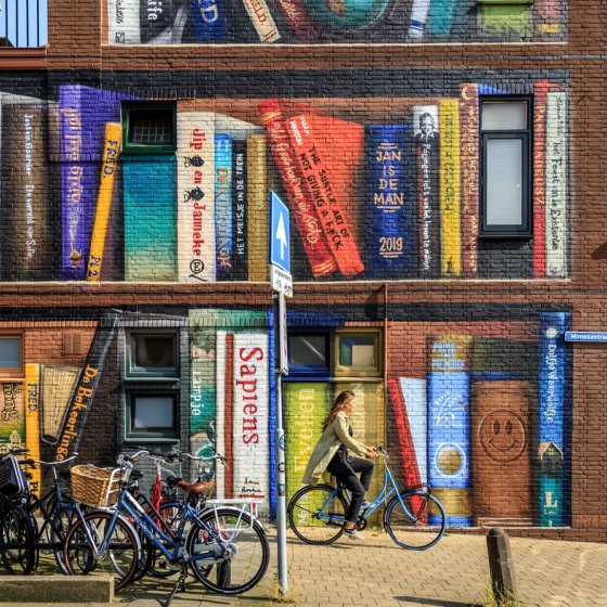 Bookcase Mural in Utrecht 