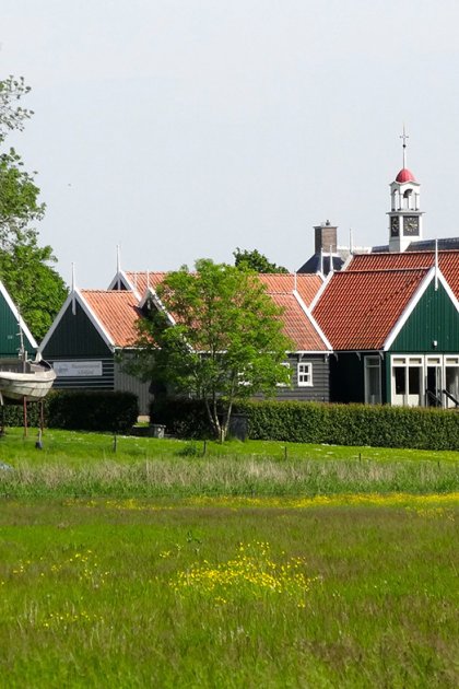 Colored houses in Middelbuurt Schokland Flevoland