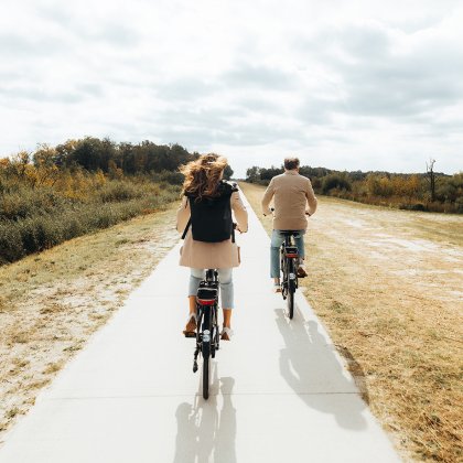 Van Gogh Drenthe cycling in the Bargerveen