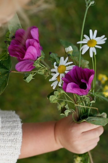 Elisabeth Van Lierop Natuurcamping Lemeler Esch