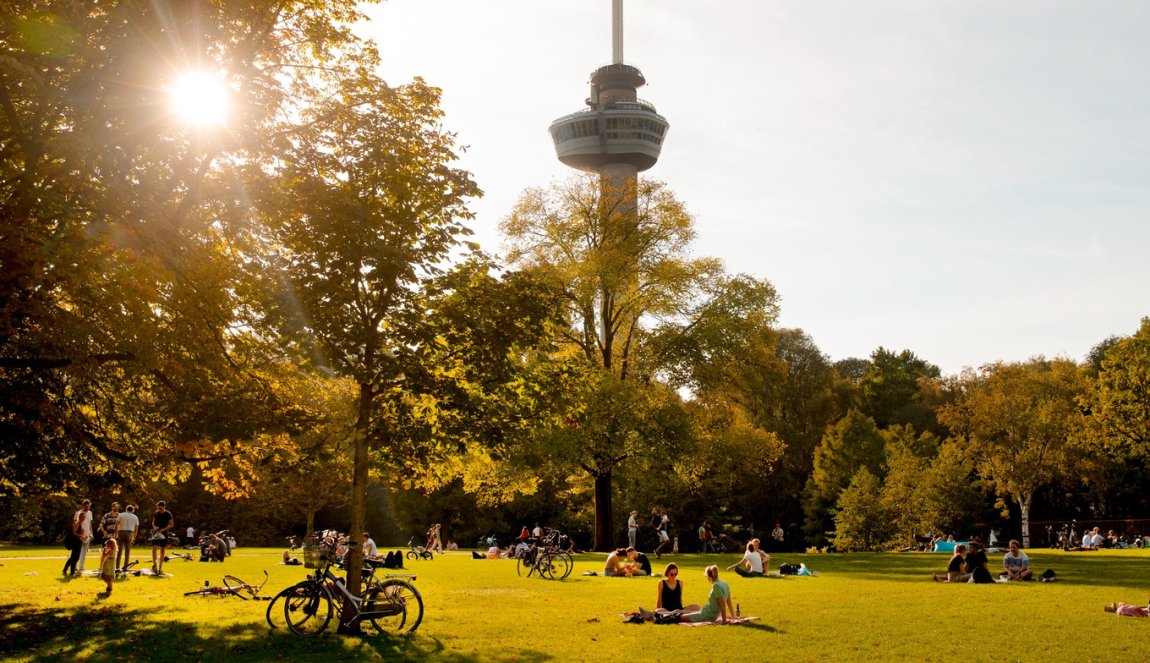 Picknicken with sunset view of Euromast in park Rotterdam