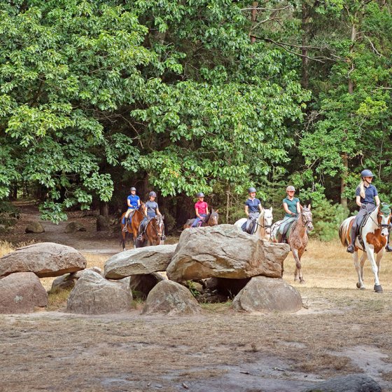 Horseback riding Drenthe - Hondsrug