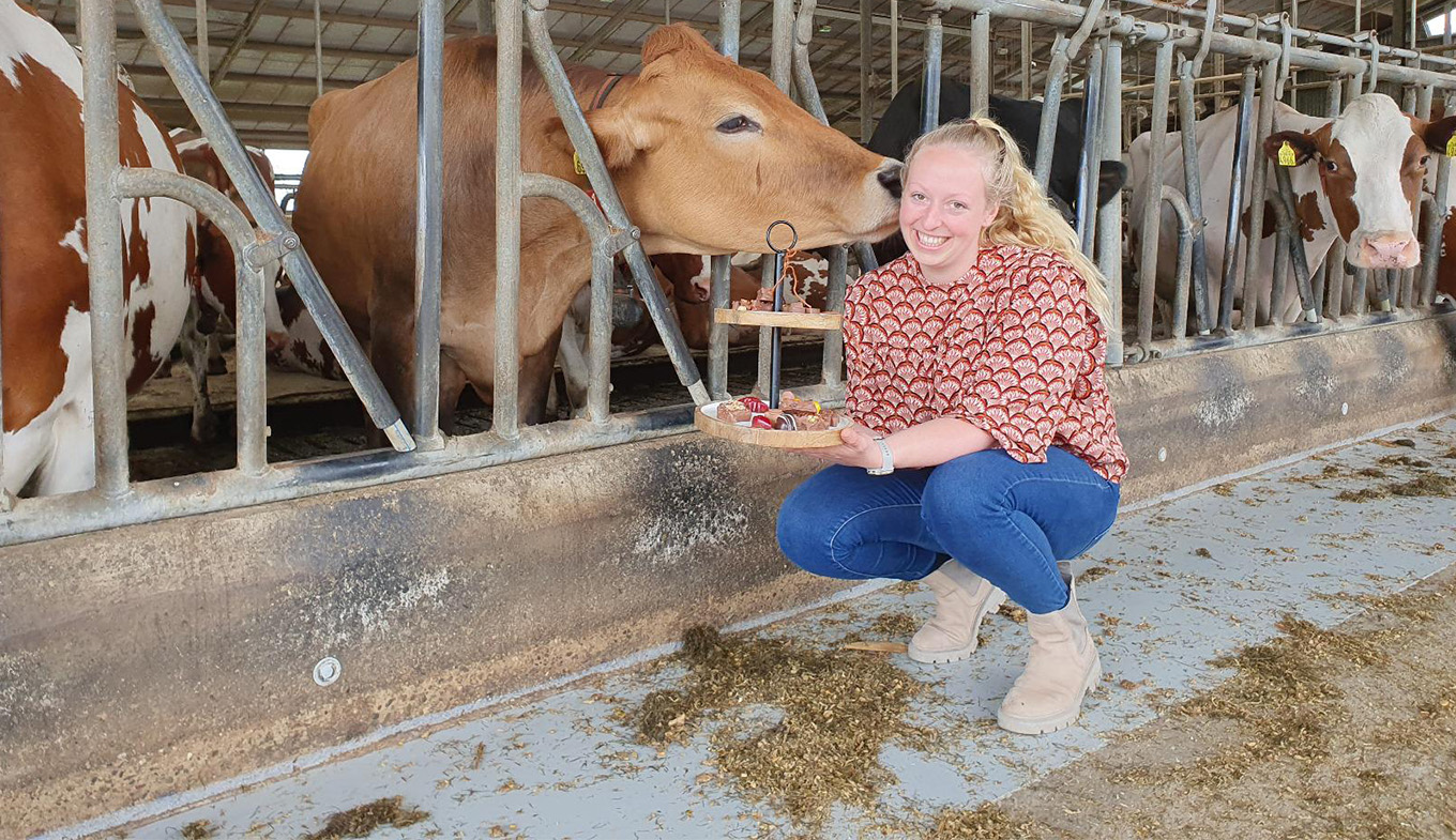 Landwirtin Linda mit ihren Kühen in Overijssel Landwirtin Linda mit ihren Kühen in Overijssel