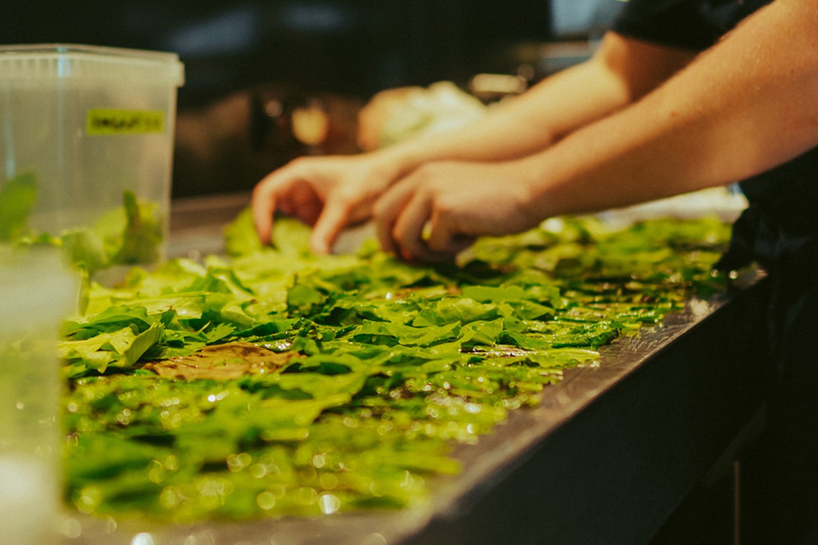 In the kitchen of The New Shop with green leaves