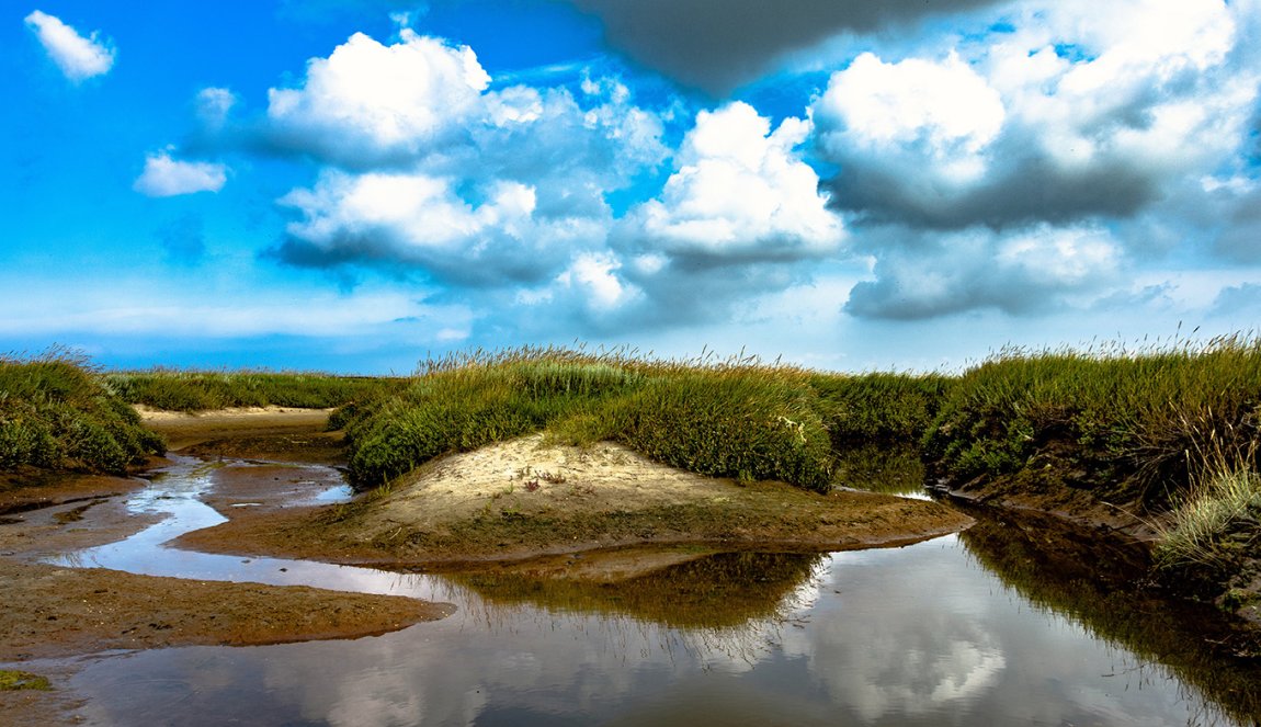 Slufter in National Parc Dunes of Texel Slufter in National Parc Dunes of Texel