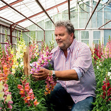 Jan de Boer, owner of a flower export company