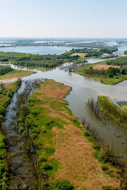 National Park the Biesbosch