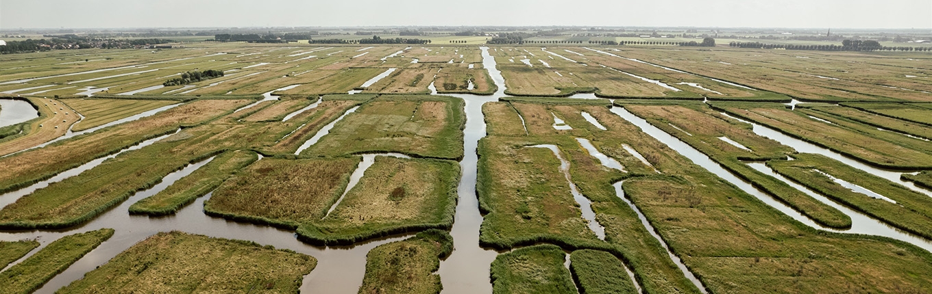 Polder landscape De Beemster Polder landscape De Beemster