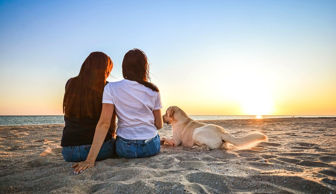 Girlfriends and dog sitting together on a beach and enjoying sunset