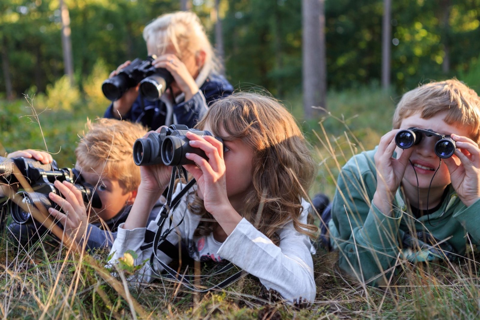 Kids looking through binoculars National parc De Hoge Veluwe