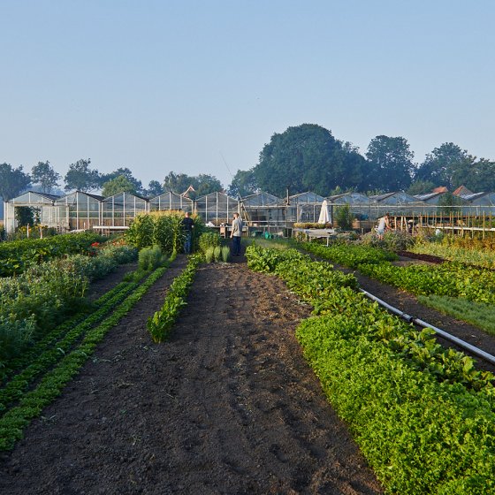 Greenhouse Beemster De Kas