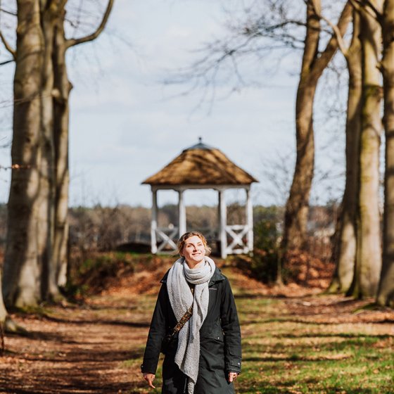 Van Gogh in Brabant trees with arbor