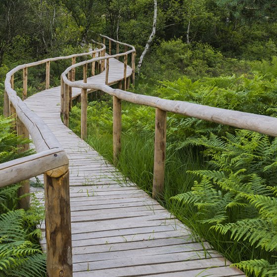 Hiking trail in national park de Meinweg in Limburg &copy; Daan Kloeg