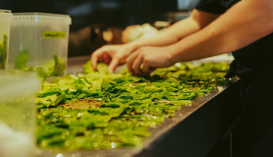 In the kitchen of The New Shop with green leaves