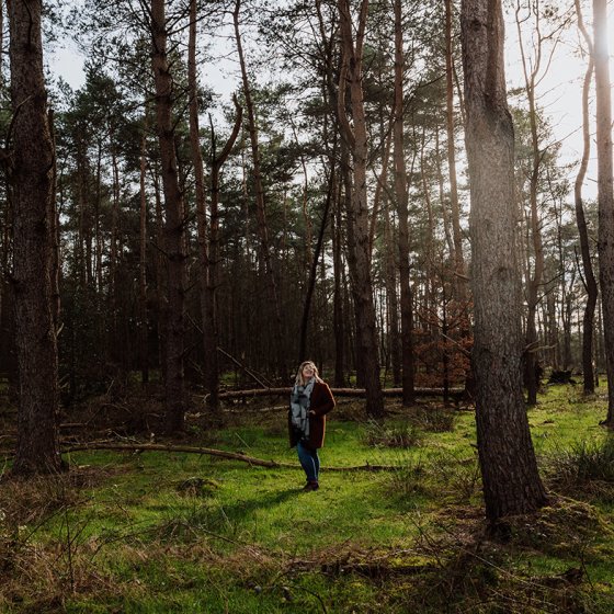 Van Gogh Drenthe in a forest