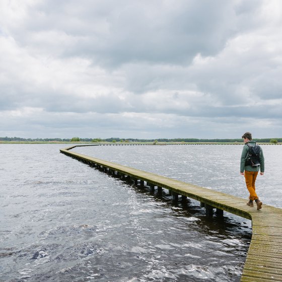 Walking the Knuppelpad in Groningen