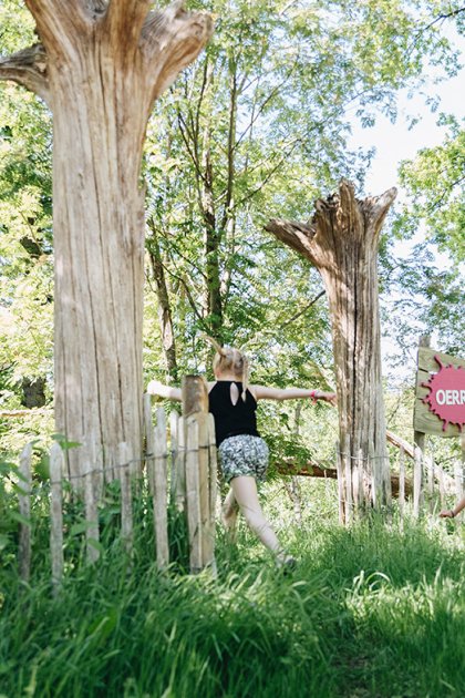 Play ground Sallandse Heuvelrug