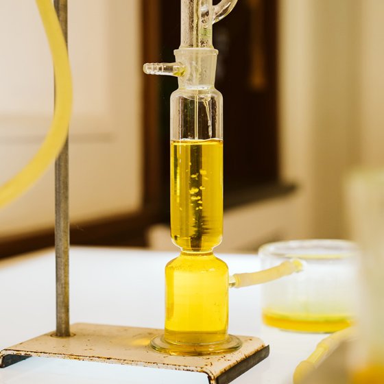 Portraitphoto Jalila Essaidi yellow mixture in lab