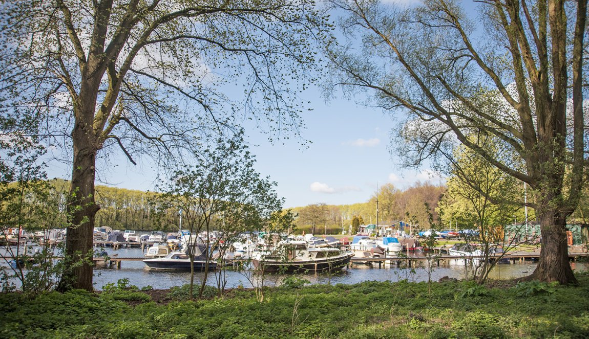 amsterdam tourist profile